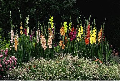 击杀NPC将被通缉，开放世界武侠《武林志2》8月12日开启Steam体验测试